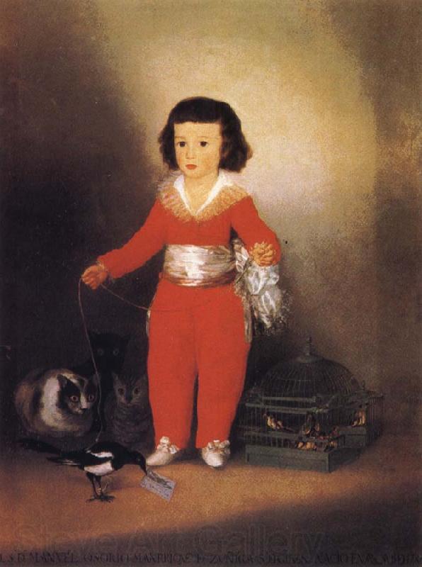 Francisco Jose de Goya Don Manuel Osorio Manrique Norge oil painting art